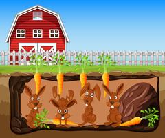 A Rabbit Hole Under Carrot Farm vector