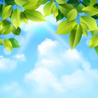 Clouds And Leaves Background vector