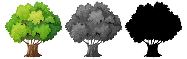 Conjunto de arbol aislado vector