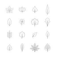Plant leaves line icons set vector