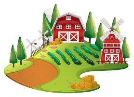 Farm scene with crops and barn vector