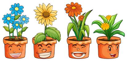 Four pots of flowers vector