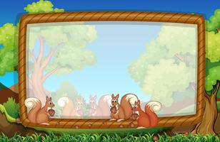 Frame template with squirrels in park vector