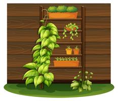 Escena de jardinería con macetas en estantes vector