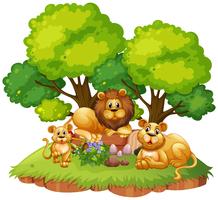 Lion family on isolated nature vector