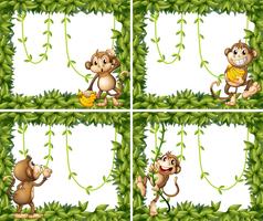 Frame design with monkeys and vine vector