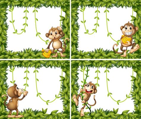 Frame design with monkeys and vine