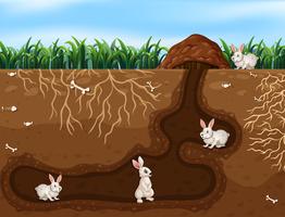 Conejo familia viviendo en el hoyo vector