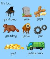 Many words for alphabet G vector