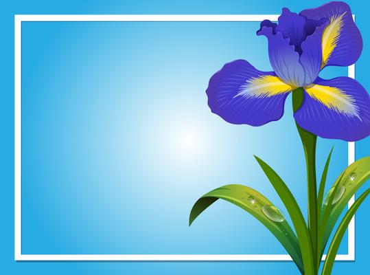 Border template with blue iris