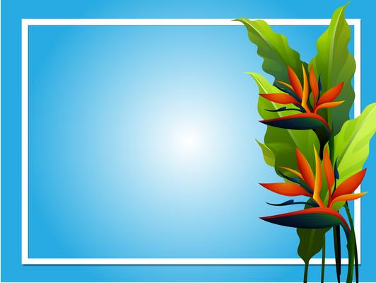 Frame design with bird of paradise flower