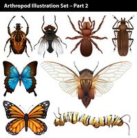 Arthropods vector