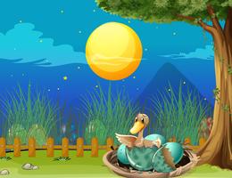 Duck hatching egg at night vector