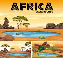 Africa backgrounds with small ponds and trees vector