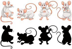 Ratas blancas en cuatro acciones. vector