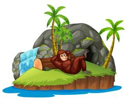 Mono en la isla vector