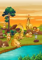 River scene with many wild animals vector