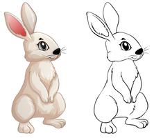 Animal doodle for little bunny vector