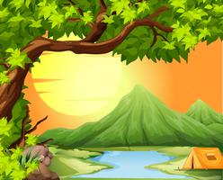 Camping in the nature vector