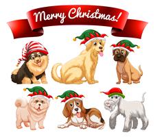 Christmas theme with many dogs vector