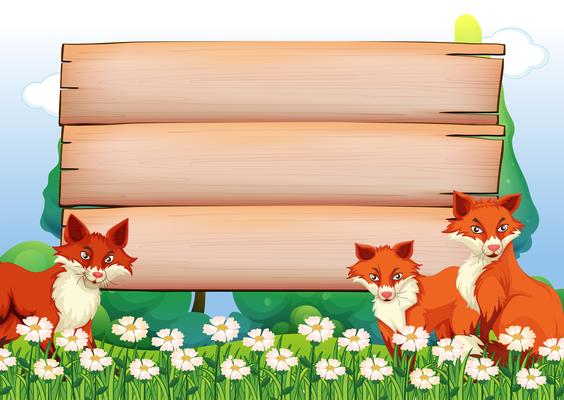 Wooden signs and foxes in garden