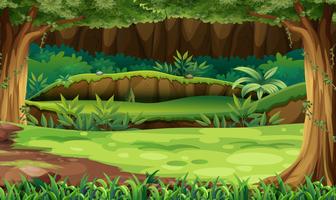 Forest scene with trees and field vector