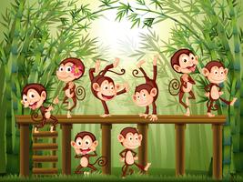 Escena con monos en el bosque de bambú. vector