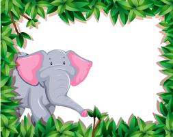 Elephant in nature frame  vector