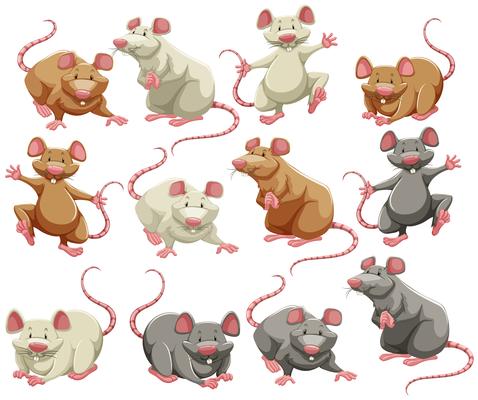 Free mouse - Vector Art