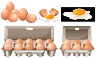 Huevos crudos en diferentes paquetes. vector