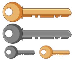 Silver and golden keys vector