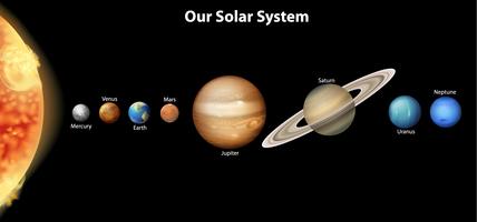 El sistema solar vector
