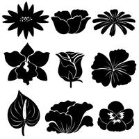 Black flower templates vector