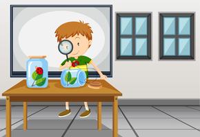 Boy looking at ladybug in classroom vector