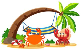 Crab and hermit crab on the beach vector