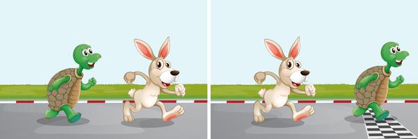Rabbit and turtle race on the road