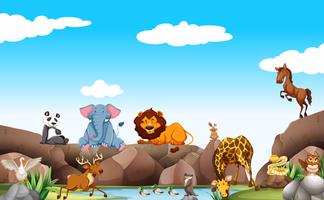 Scene with wild animals by the pond vector