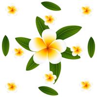 Seamless background design with plumeria and leaves vector