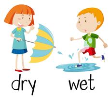 Opposite wordcard for dry and wet