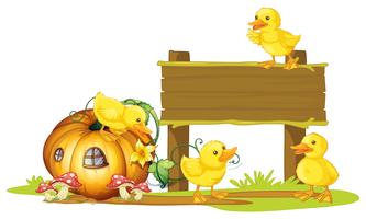 Wooden sign with four ducklings vector