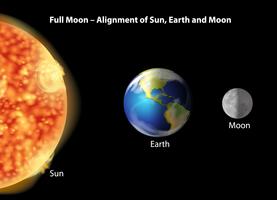 Earth, moon and Sun alignment vector