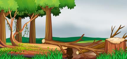 Scene with forest and chopped woods vector
