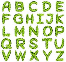 Alphabet design in green leaves vector