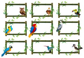 Set of birds in nature scenes vector