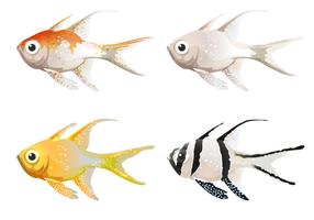 Sea creatures vector