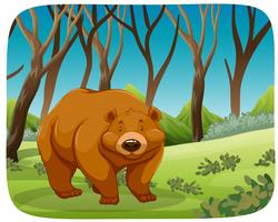 Un oso pardo en el bosque vector