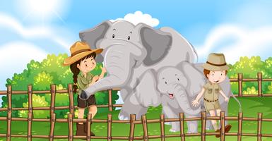 Two elephants and kids in the zoo vector