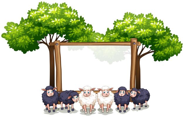 Wooden frame template with sheeps