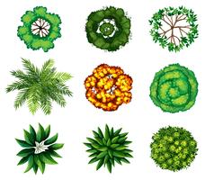 A group of plants vector