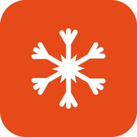 Snow Flake Vector Icon